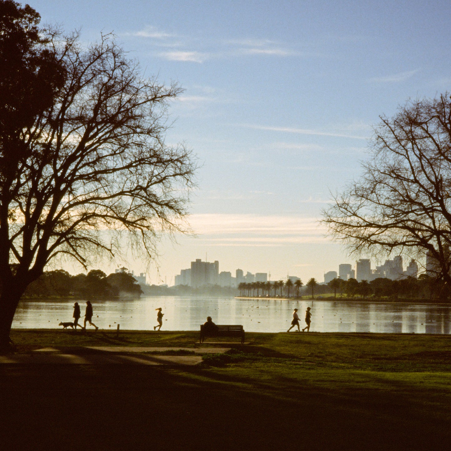FlicFilm Chrome 100 (E-6)
