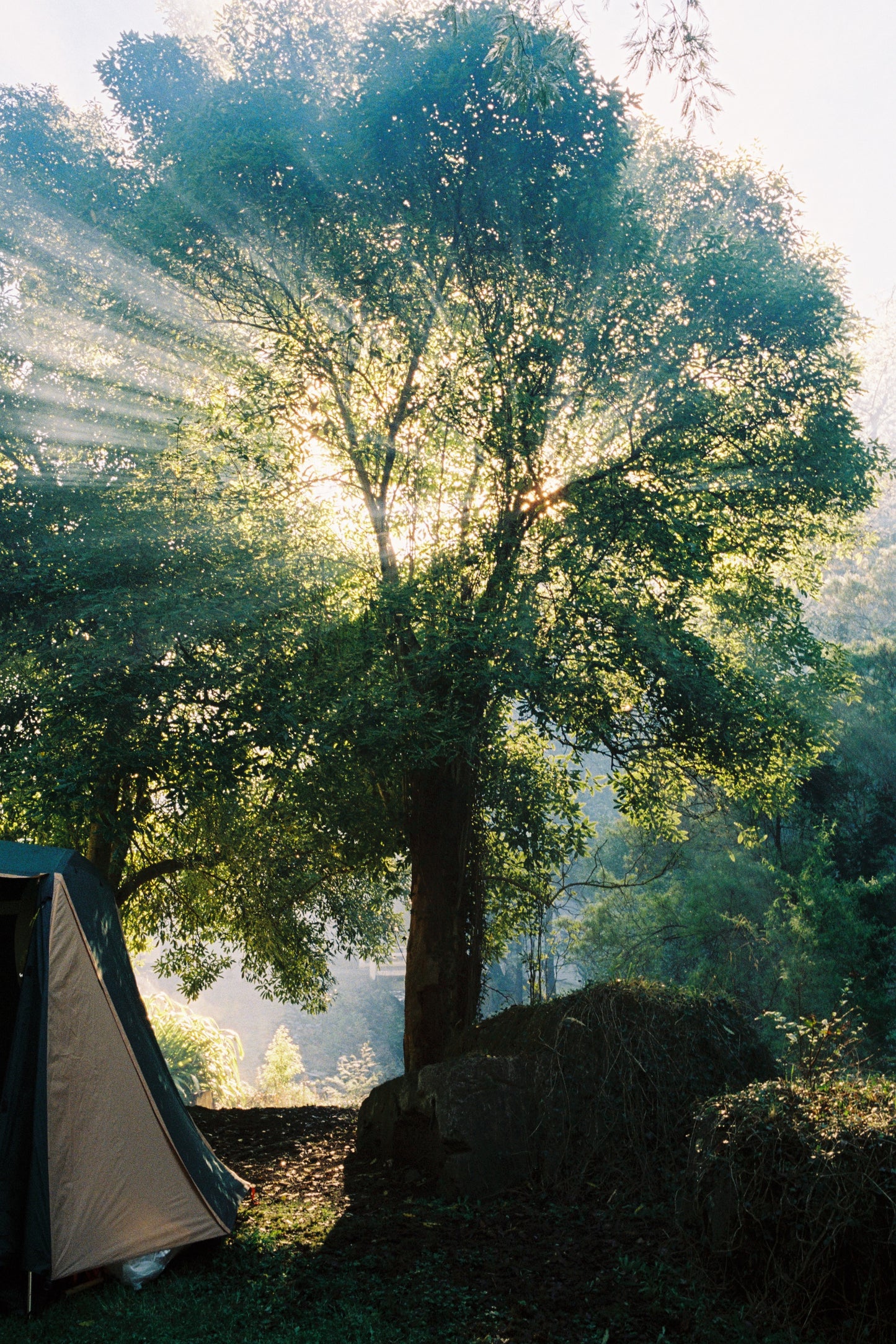 FlicFilm Aurora 800 (C-41)