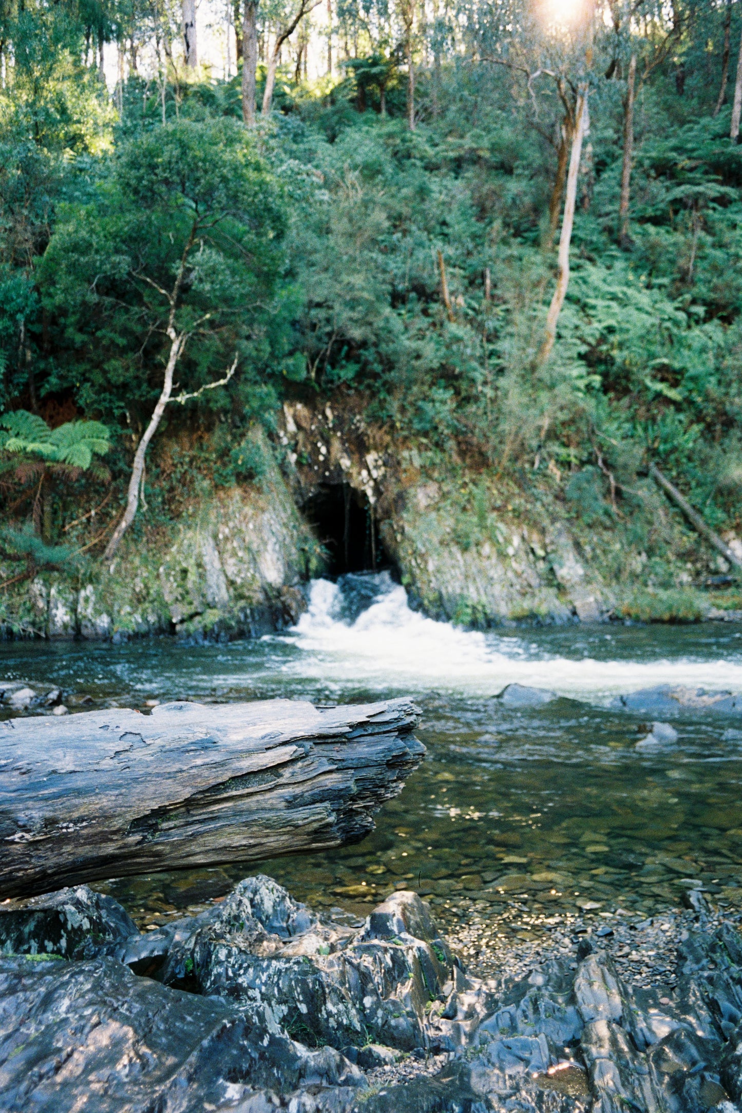 FlicFilm Aurora 800 (C-41)