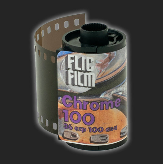 FlicFilm Chrome 100 (E-6)