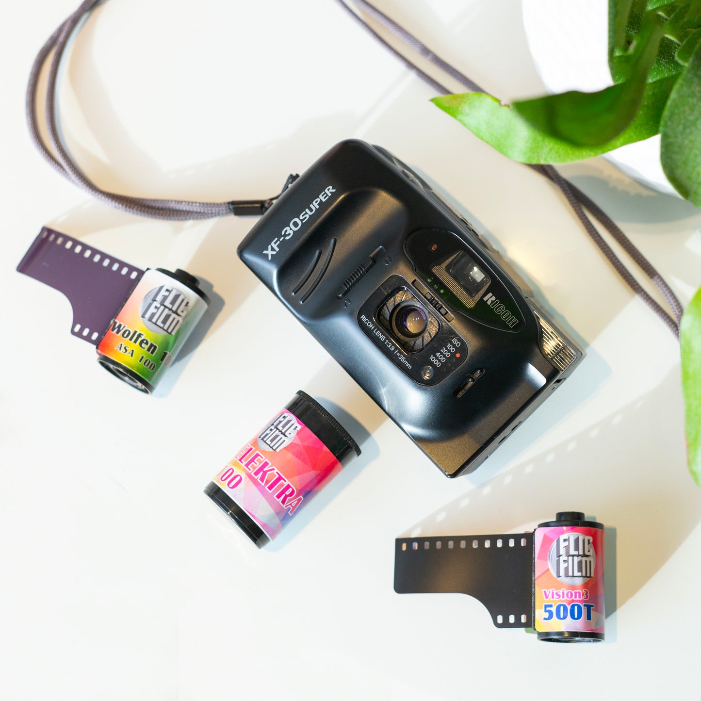 FlicFilm Elektra 100 (C-41)