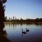 FlicFilm Chrome 100 (E-6)